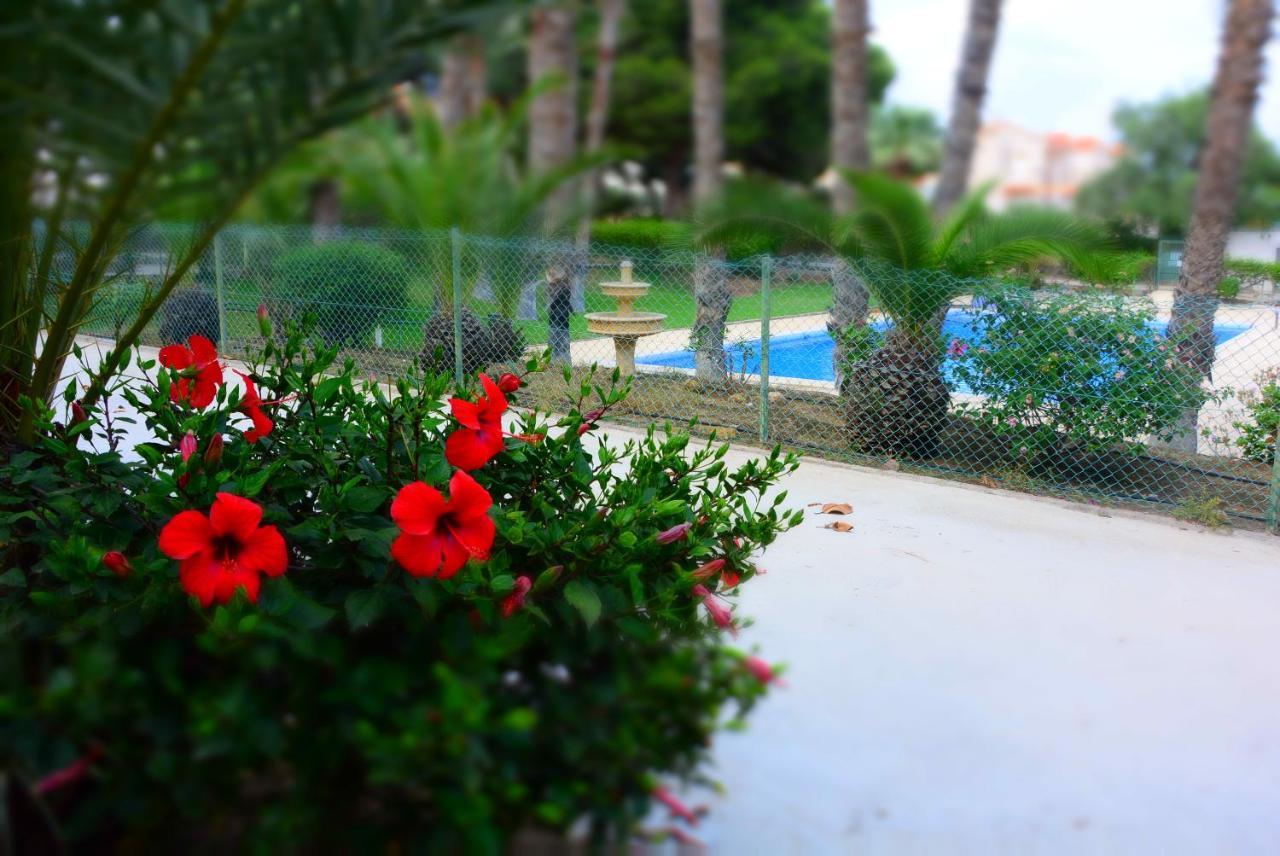 Palmeras, Piscina, Campo De Futbol Y Jardin Privados Mazarrón Exterior foto