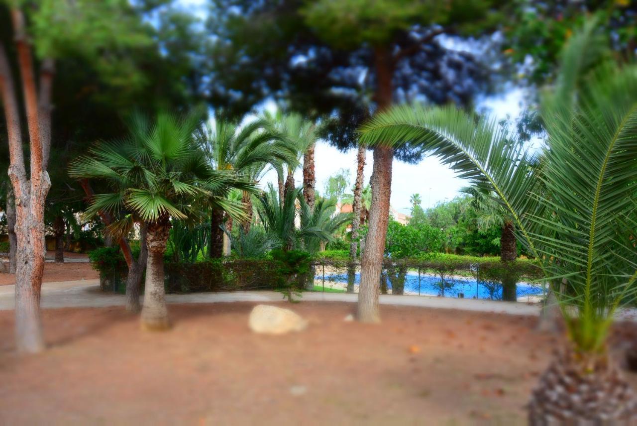 Palmeras, Piscina, Campo De Futbol Y Jardin Privados Mazarrón Exterior foto