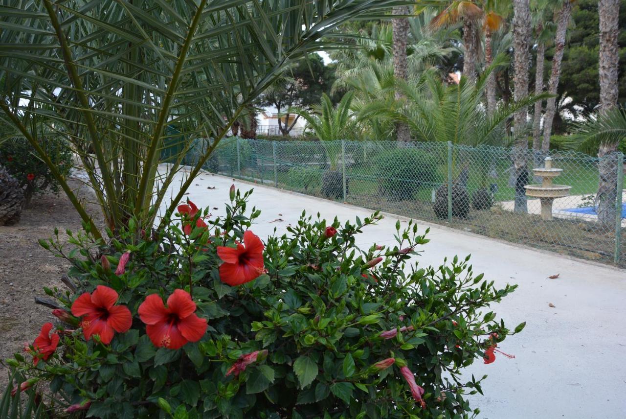 Palmeras, Piscina, Campo De Futbol Y Jardin Privados Mazarrón Exterior foto