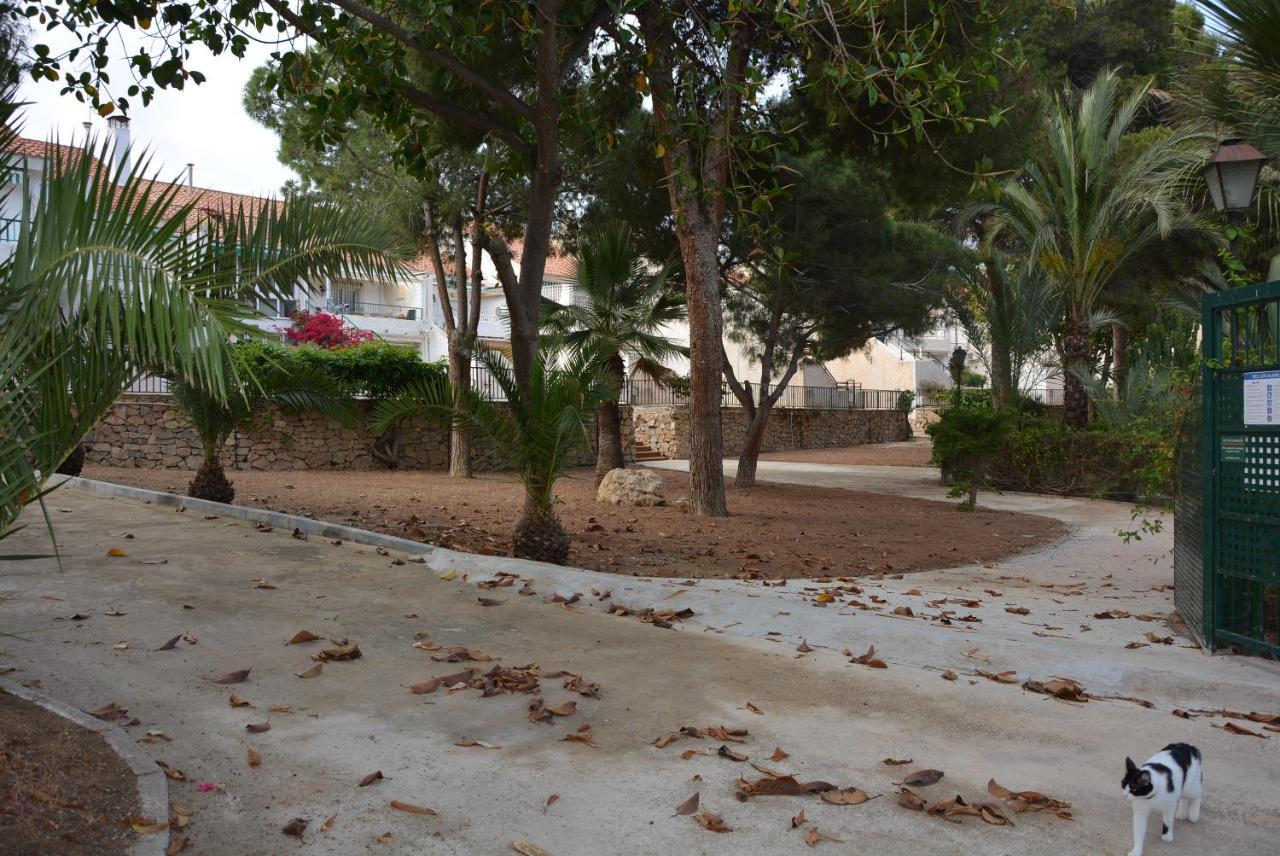 Palmeras, Piscina, Campo De Futbol Y Jardin Privados Mazarrón Exterior foto
