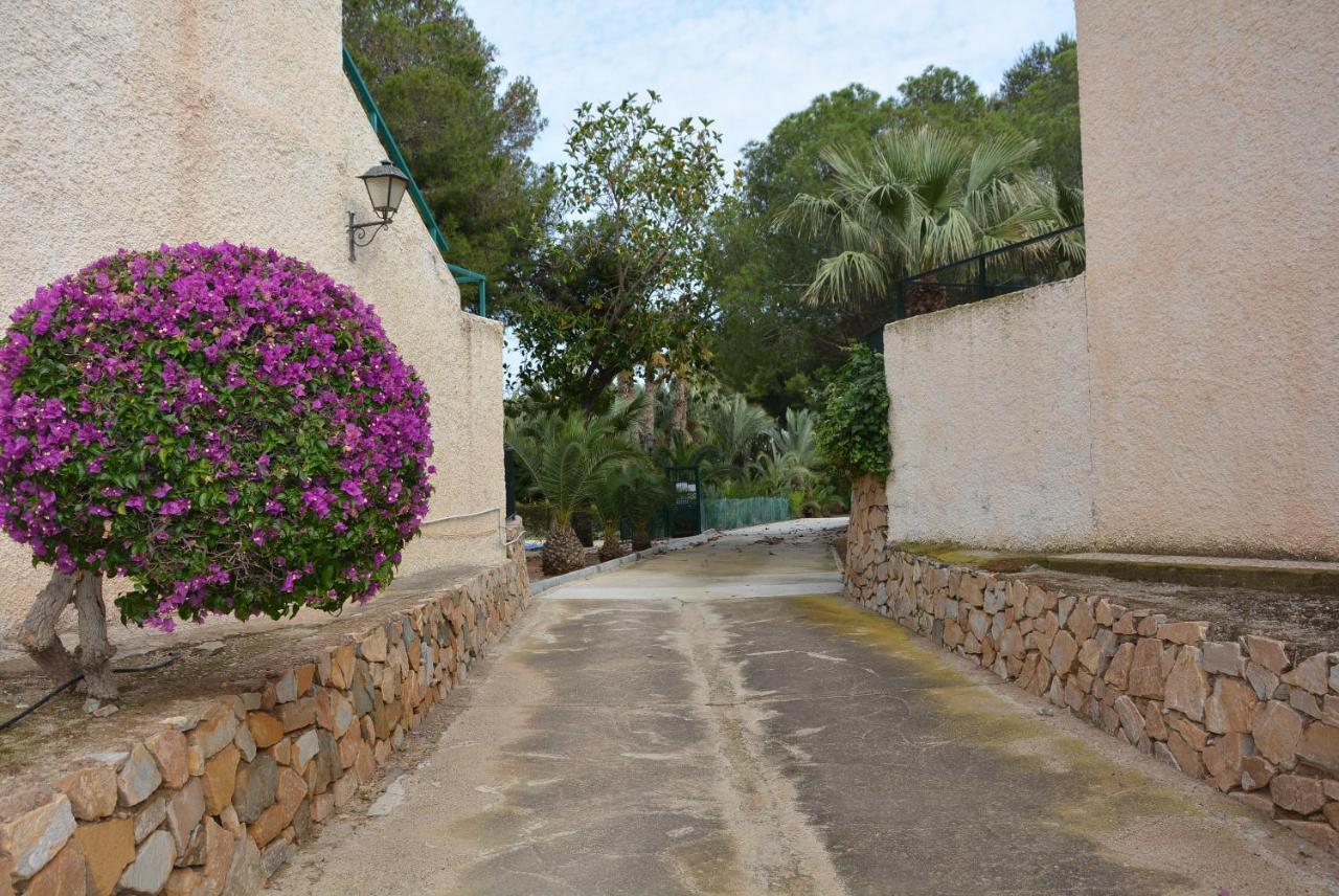 Palmeras, Piscina, Campo De Futbol Y Jardin Privados Mazarrón Exterior foto