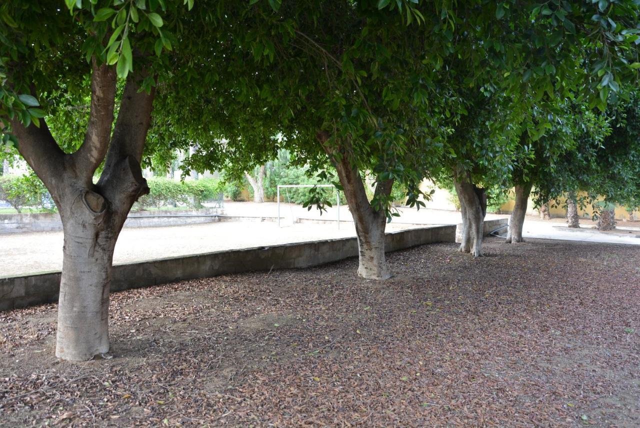 Palmeras, Piscina, Campo De Futbol Y Jardin Privados Mazarrón Exterior foto