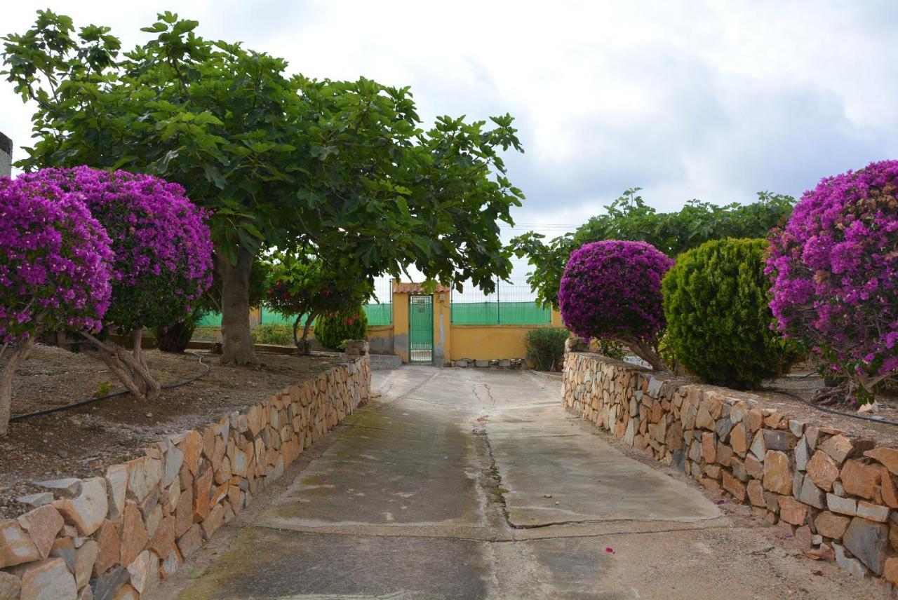 Palmeras, Piscina, Campo De Futbol Y Jardin Privados Mazarrón Exterior foto